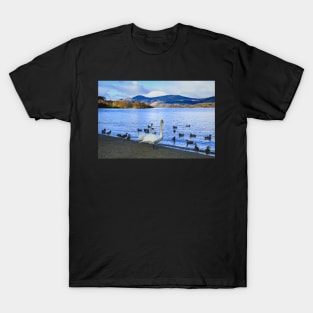Loch Lomond Swans and Ducks T-Shirt